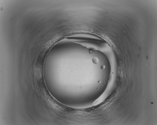 X0000063500393200601231442