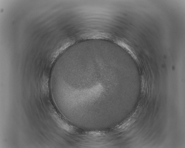 X0000063500394200601231442