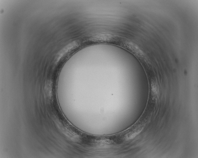 X0000063500396200601231442