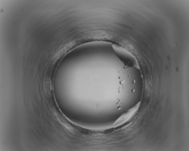 X0000063500397200601231442