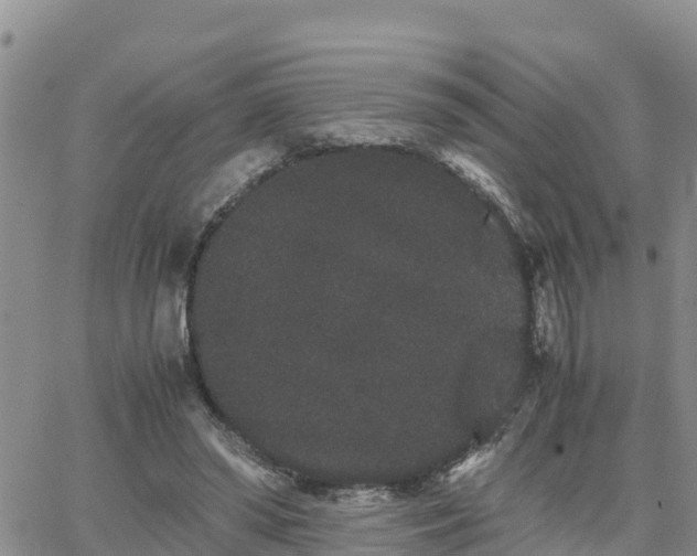 X0000063500398200601231442