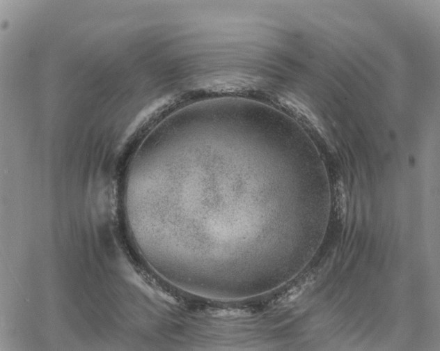 X0000063500400200601231442