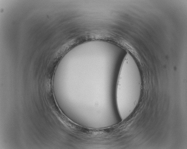 X0000063500401200601231442