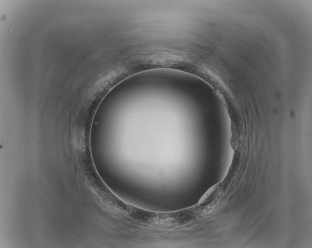 X0000063500403200601231442