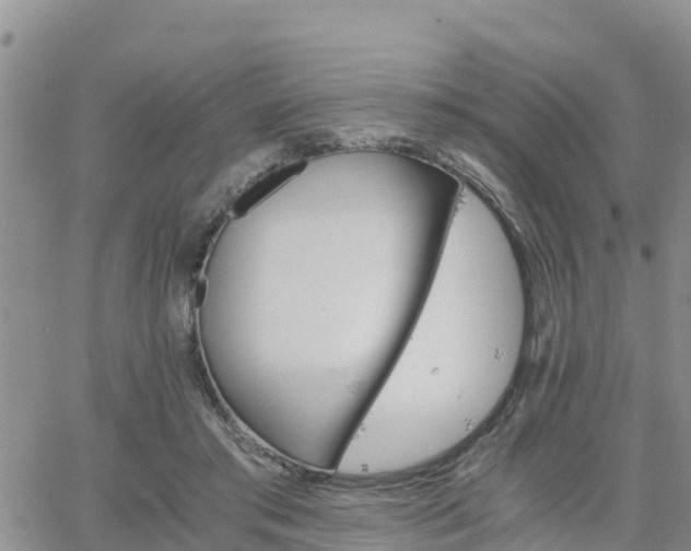 X0000063500405200601231442