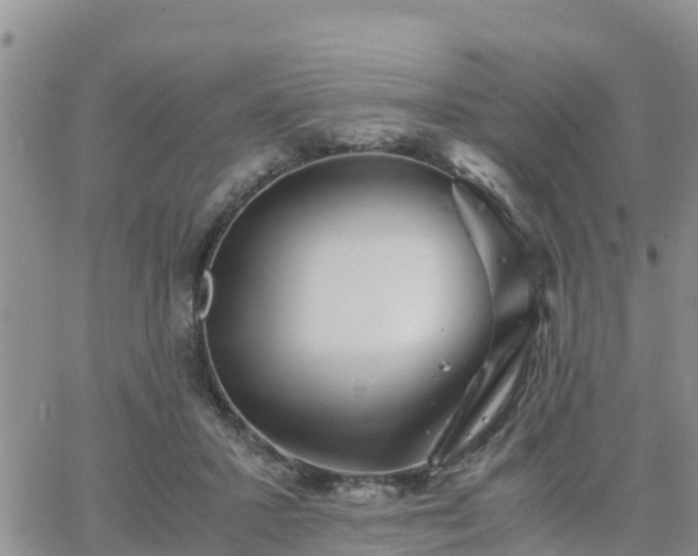 X0000063500407200601231442