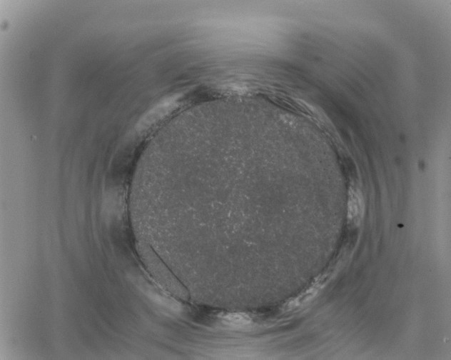 X0000063500409200601231442