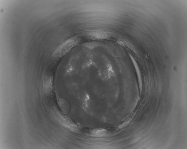 X0000063500410200601231442