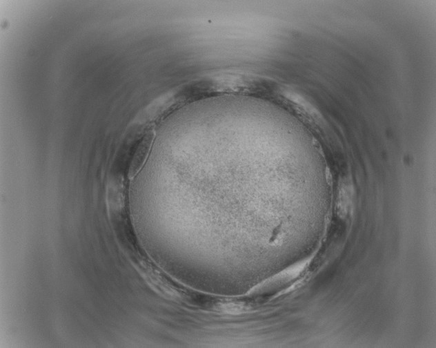 X0000063500413200601231442