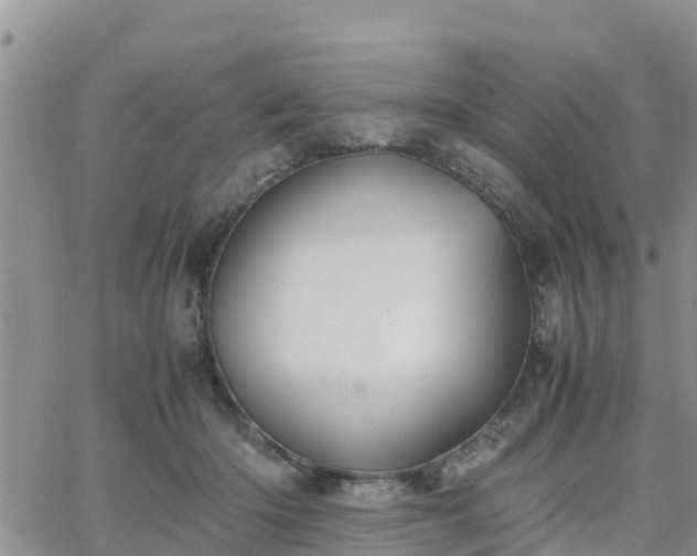 X0000063500414200601231442