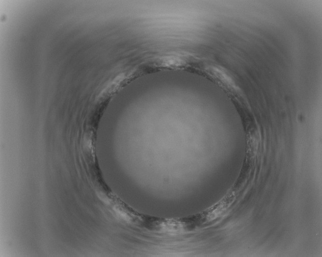 X0000063500415200601231442