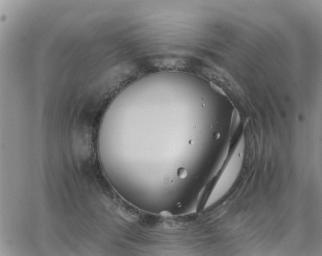 X0000063500416200601231442