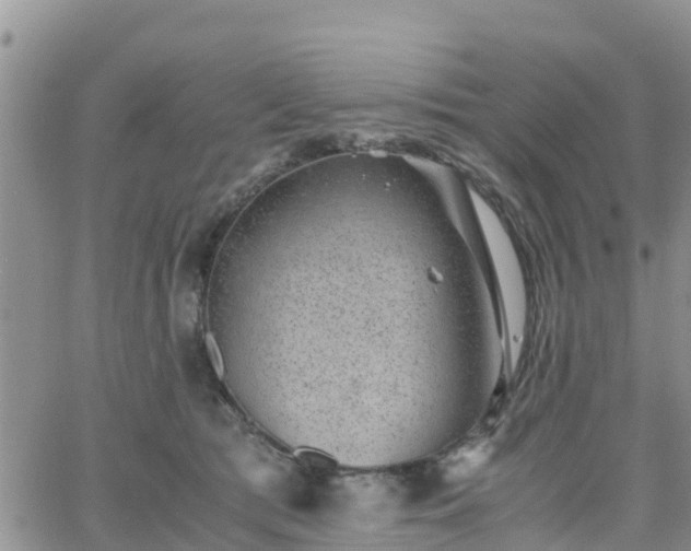 X0000063500417200601231442