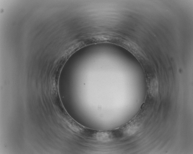 X0000063500418200601231442