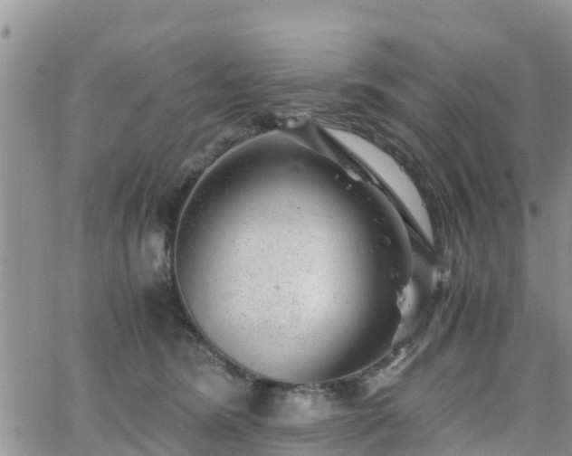 X0000063500420200601231442