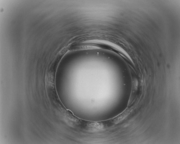 X0000063500421200601231442