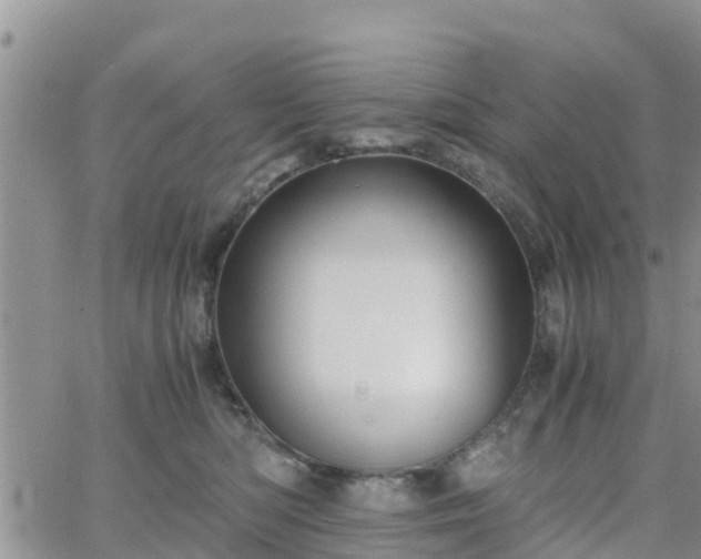 X0000063500422200601231442