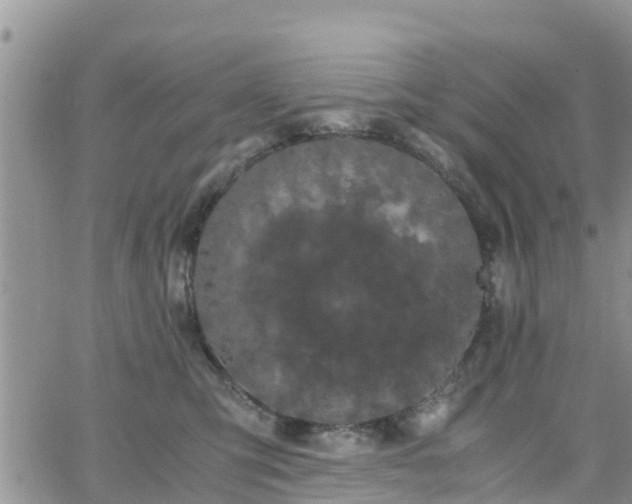 X0000063500423200601231442