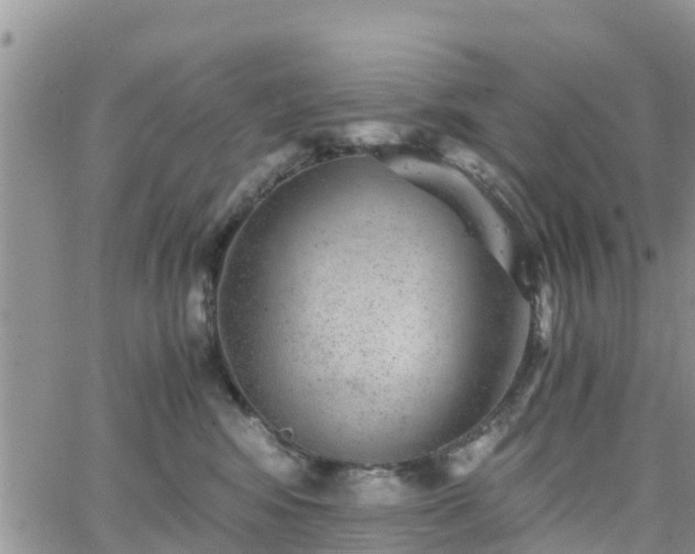 X0000063500424200601231442