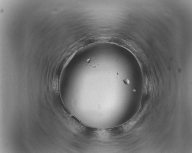 X0000063500425200601231442