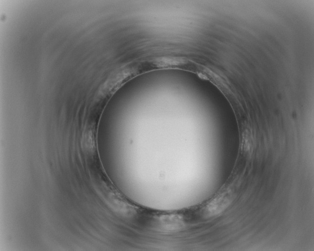 X0000063500426200601231442