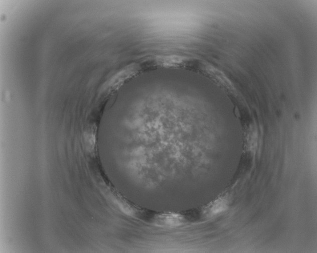 X0000063500427200601231442