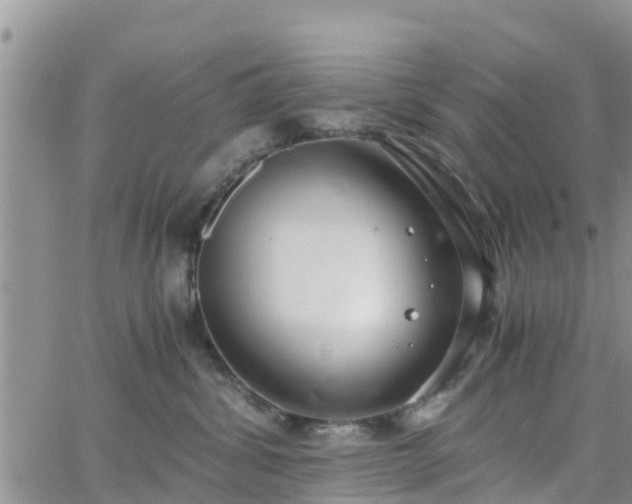 X0000063500428200601231442