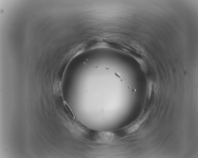 X0000063500429200601231442