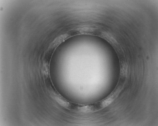 X0000063500430200601231442