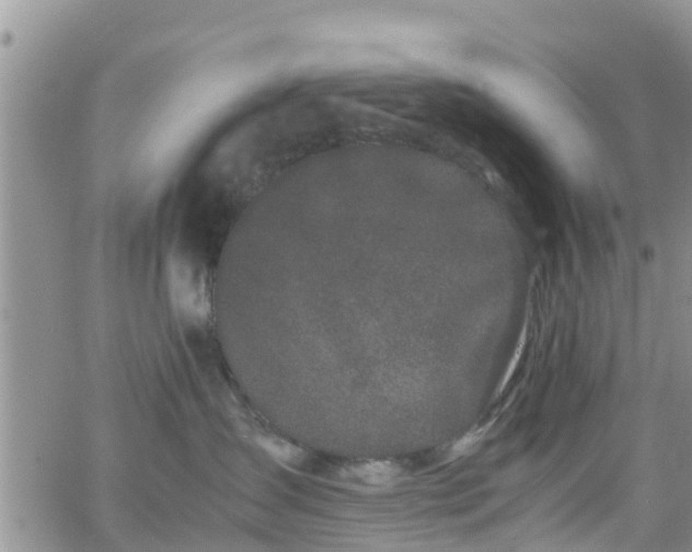 X0000063500431200601231442