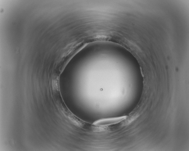 X0000063500432200601231442