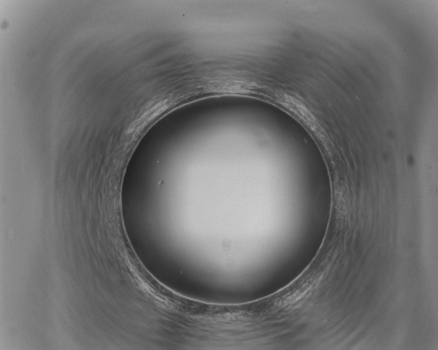 X0000063500433200601231441