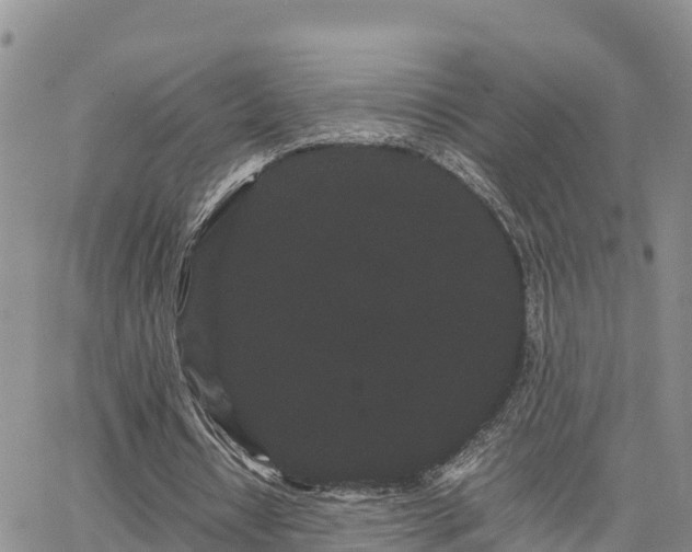 X0000063500434200601231441