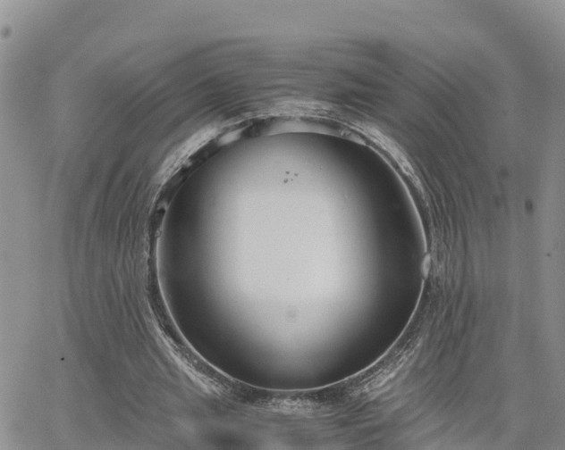 X0000063500437200601231441