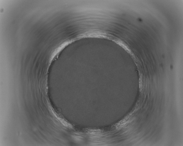 X0000063500438200601231441