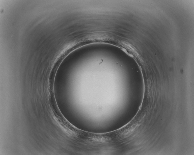 X0000063500439200601231441