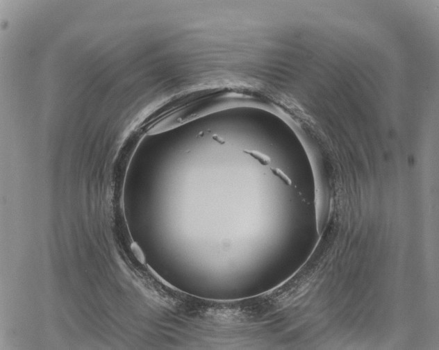 X0000063500440200601231441