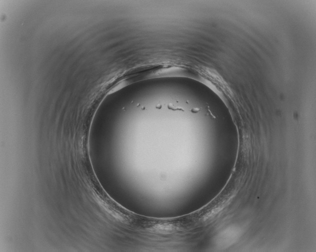 X0000063500441200601231441