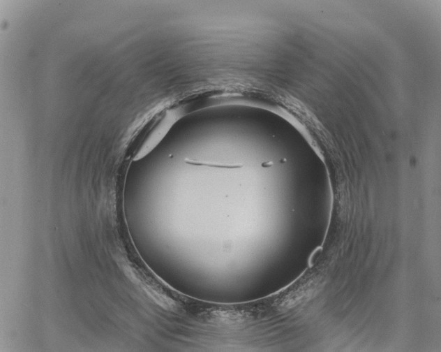 X0000063500442200601231441