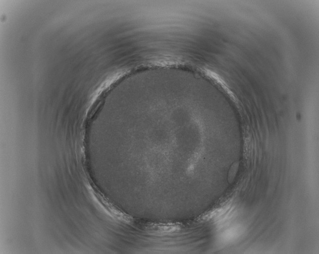 X0000063500443200601231441