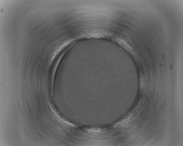 X0000063500444200601231441