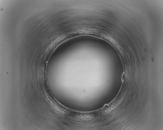 X0000063500445200601231441