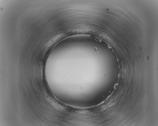 X0000063500446200601231441