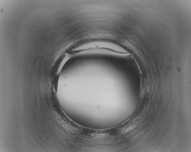 X0000063500448200601231441