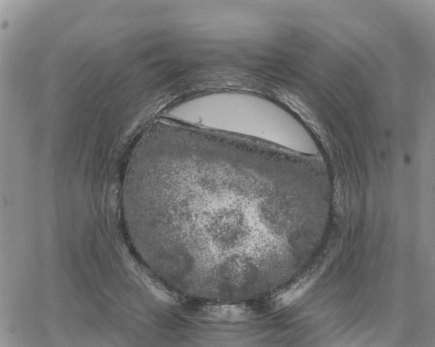 X0000063500449200601231441