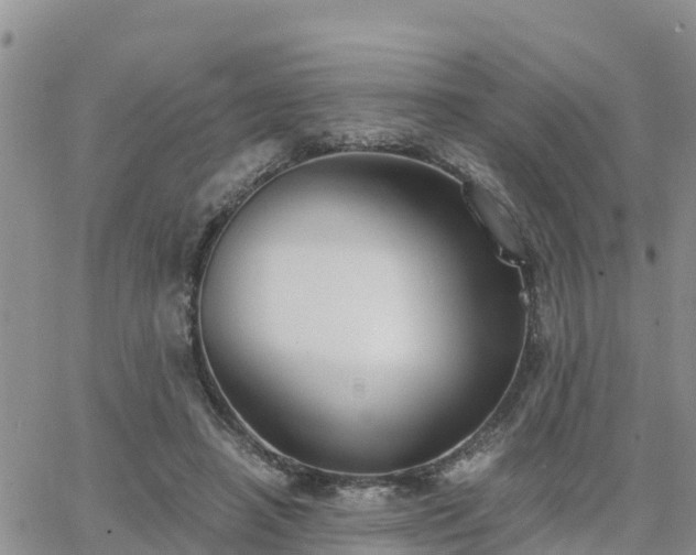 X0000063500450200601231441