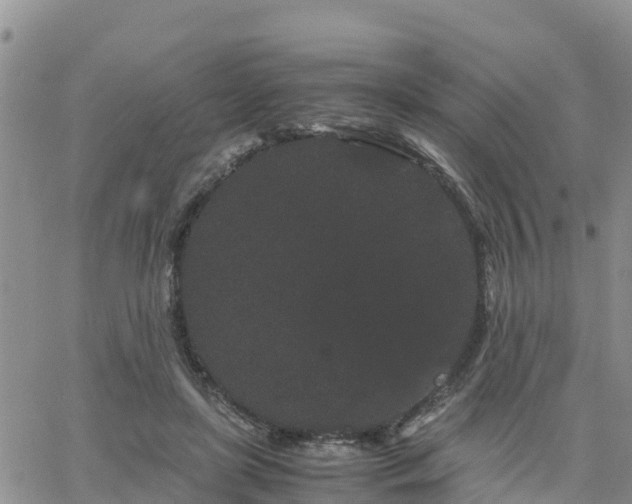 X0000063500451200601231441