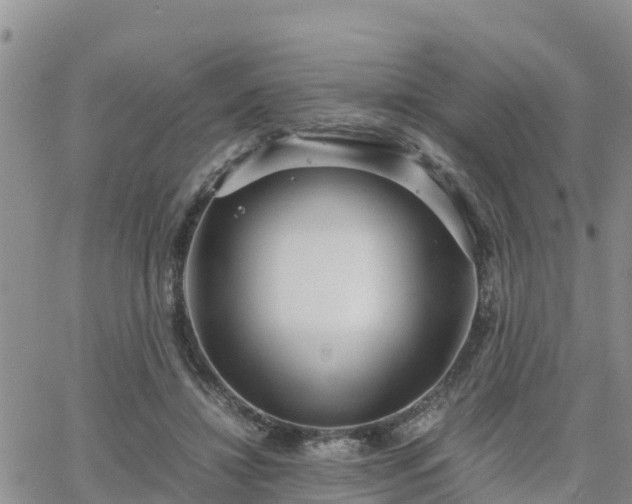 X0000063500452200601231441