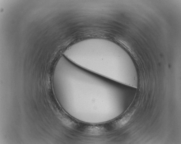 X0000063500453200601231441