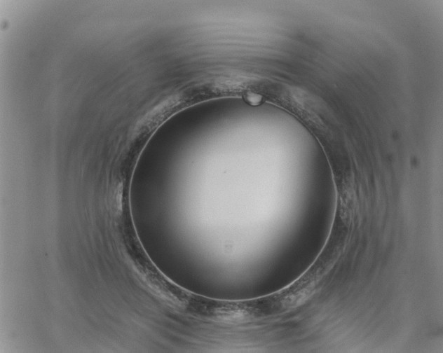 X0000063500454200601231441